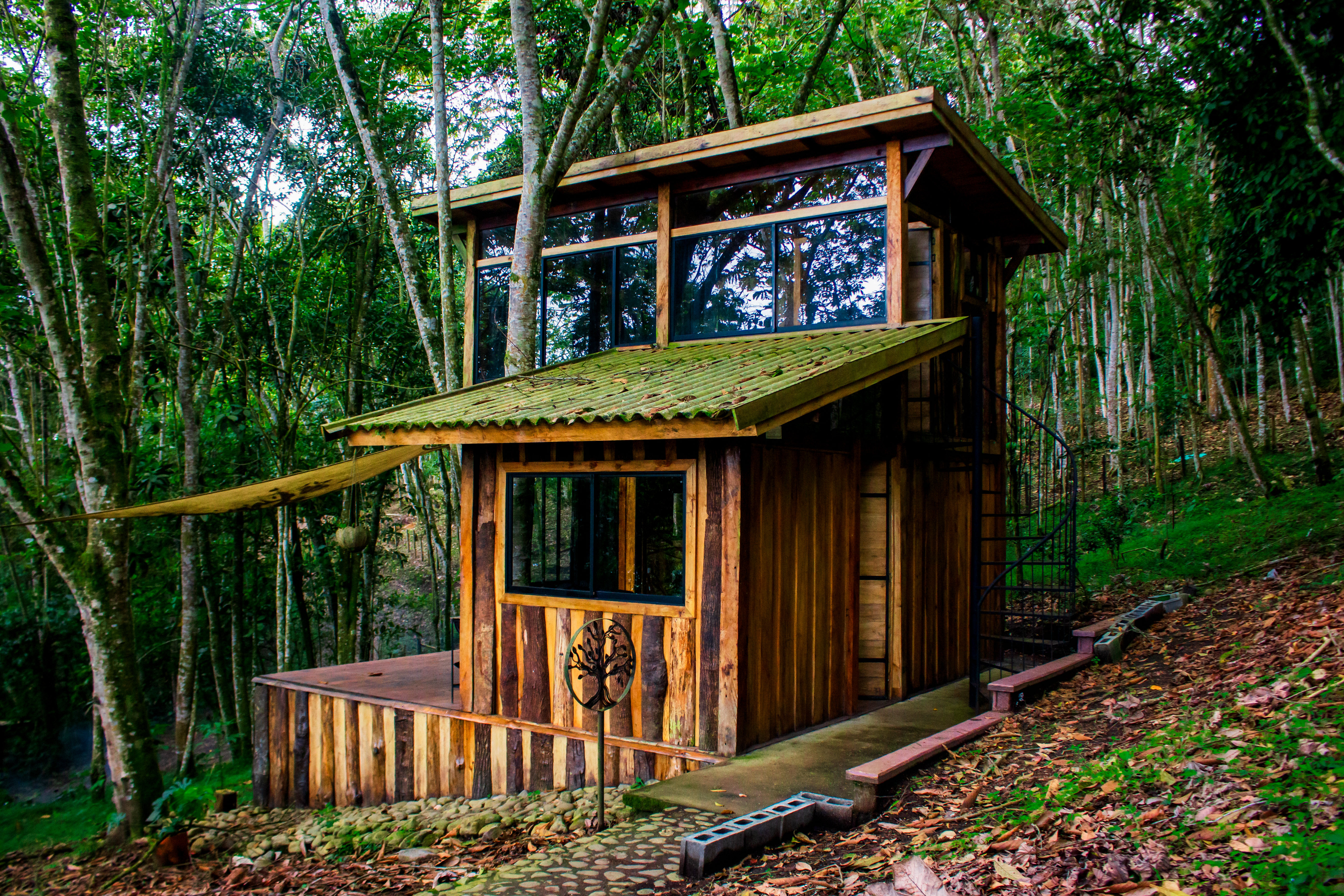 Casa Árbol de la Vida - Exterior